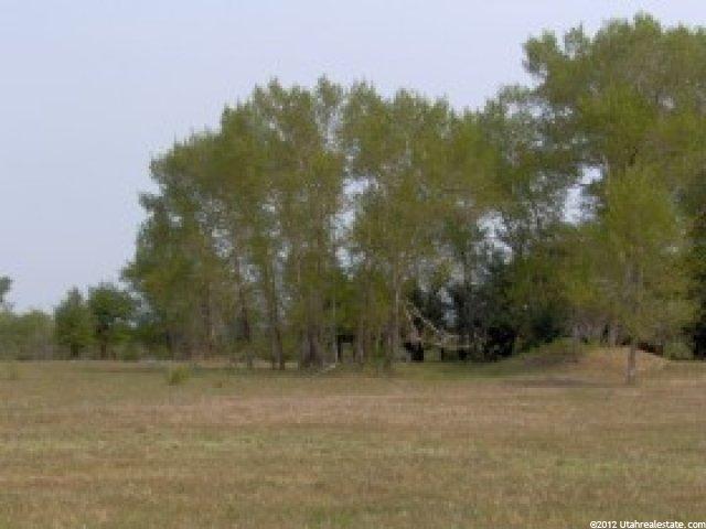 4811 Dingle Rd, Dingle, ID 83233 — photo 3