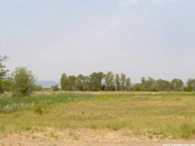 4811 Dingle Rd, Dingle, ID 83233 — photo 4