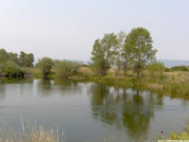 4811 Dingle Rd, Dingle, ID 83233 — photo 8