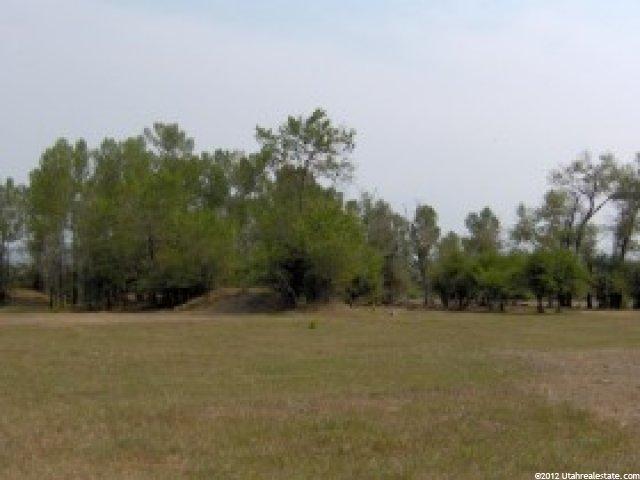 4811 Dingle Rd, Dingle, ID 83233 — photo 10