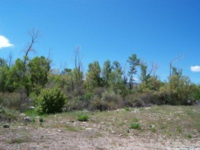 1025 S 5700 E #2, Heber City, UT 84032 — photo 4
