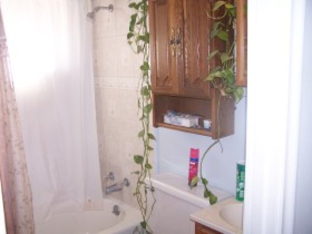 1154 E Dan St N, Ogden, UT 84404 — photo 5