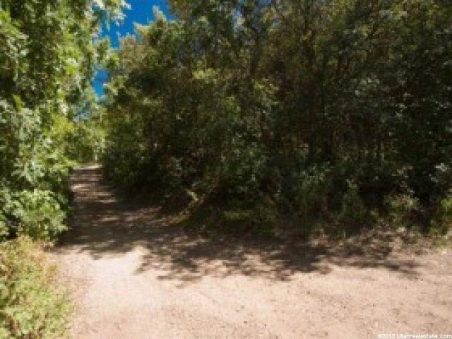 32 Oak Hvn #32, Midway, UT 84049 — photo 4