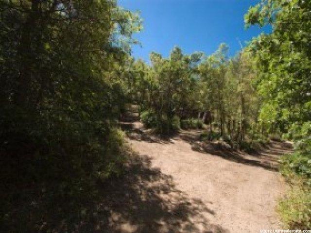 32 Oak Hvn #32, Midway, UT 84049 — photo 5