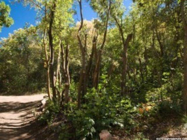 32 Oak Hvn #32, Midway, UT 84049 — photo 9