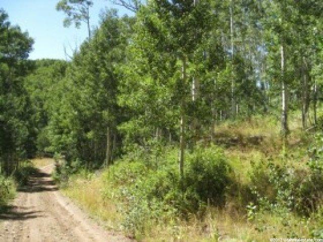 1668 Water Way #30, Midway, UT 84049 — photo 3