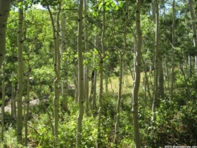 1668 Water Way #30, Midway, UT 84049 — photo 6