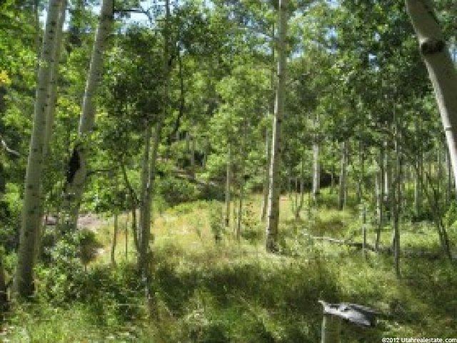 1668 Water Way #30, Midway, UT 84049 — photo 7