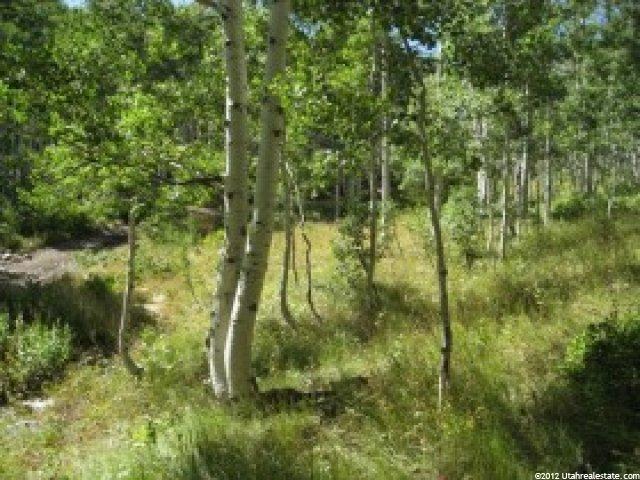1668 Water Way #30, Midway, UT 84049 — photo 8