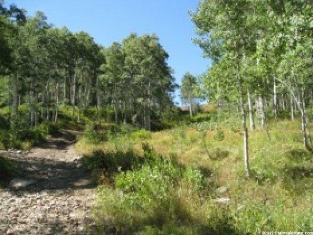 1668 Water Way #30, Midway, UT 84049 — photo 9