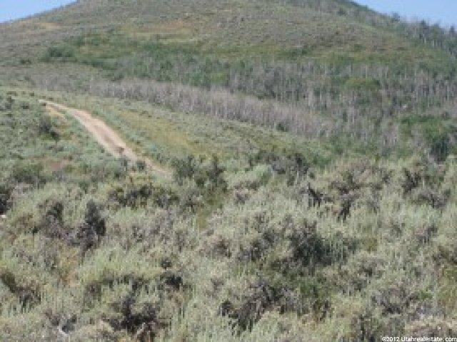 98 Browns Cyn, Park City, UT 84060 — photo 5