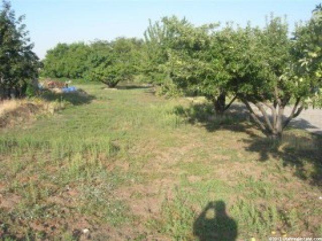 1630 Orchard Dr, Bountiful, UT 84010 — photo 2