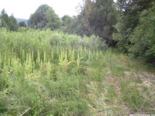 200 E Hilltop Rd, Kanosh, UT 84637 — photo 11