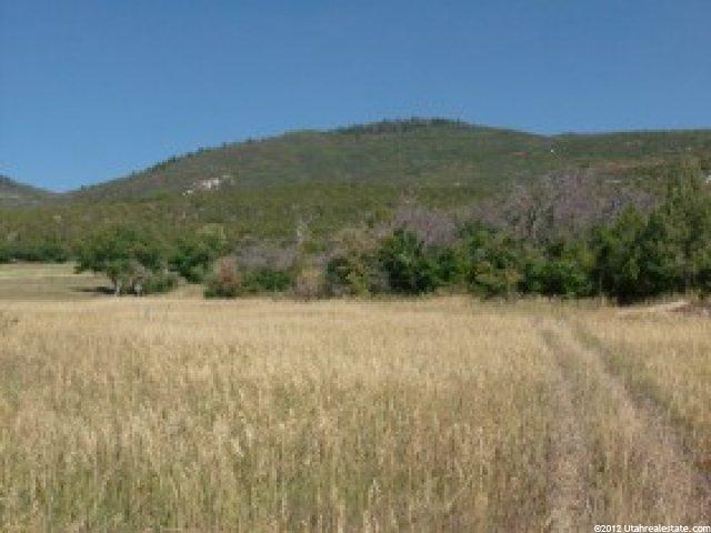 11900 E 24795 N #23, Fairview, UT 84629 — photo 3