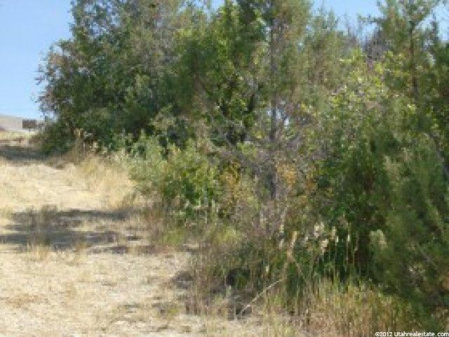 11900 E 24795 N #23, Fairview, UT 84629 — photo 4