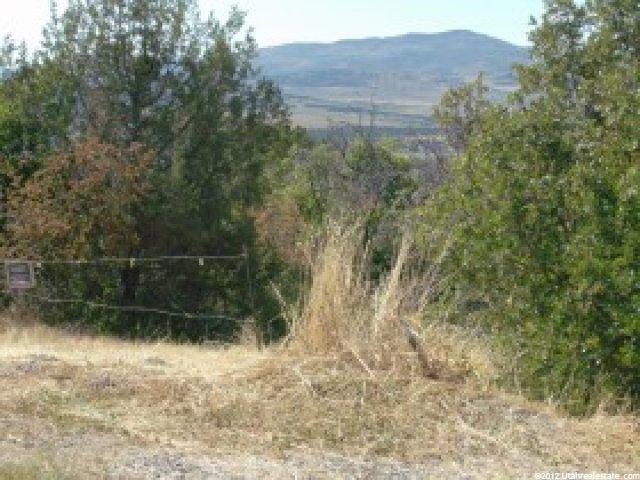 11900 E 24795 N #23, Fairview, UT 84629 — photo 5