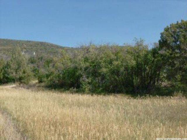11900 E 24795 N #23, Fairview, UT 84629 — photo 6