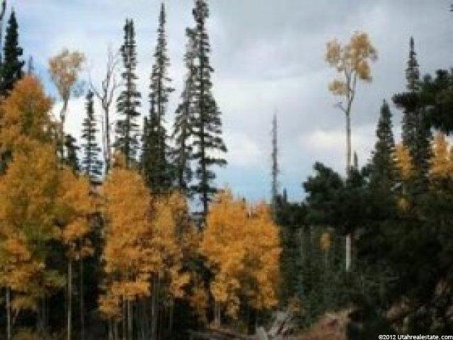 167 Gurr Well Rd, Brian Head, UT 84719 — photo 2