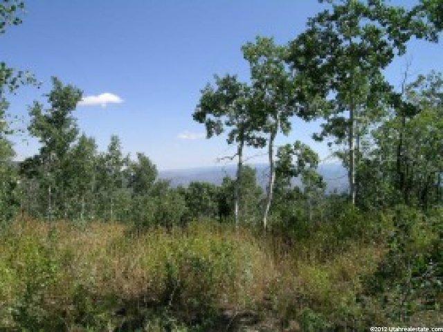 144 Bear Tooth Rdg #144, Wanship, UT 84017 — photo 4