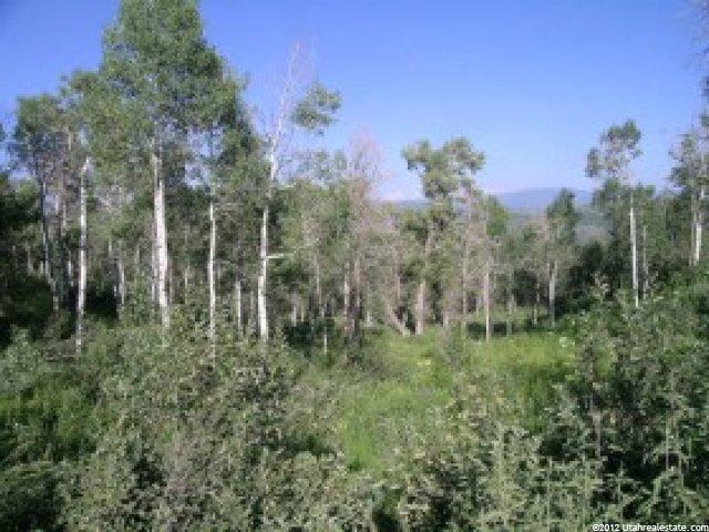 144 Bear Tooth Rdg #144, Wanship, UT 84017 — photo 5