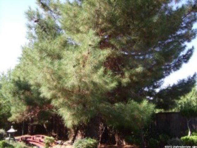60 E 100 S, La Verkin, UT 84745 — photo 3
