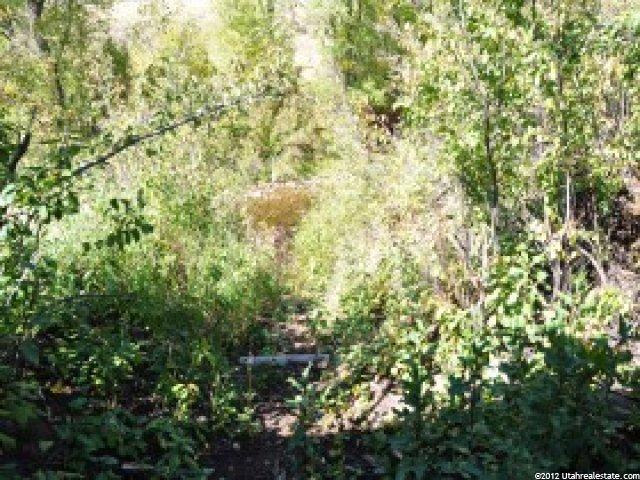 1661 E River Ln, Oakley, UT 84055 — photo 8