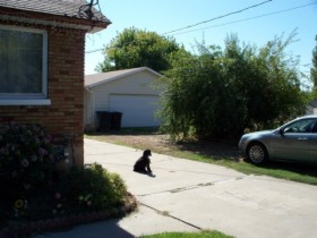 180 E 350 S, Clearfield, UT 84015 — photo 5