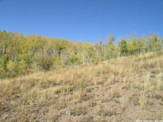 2484 Forest Meadow Rd #127, Wanship, UT 84017 — photo 2