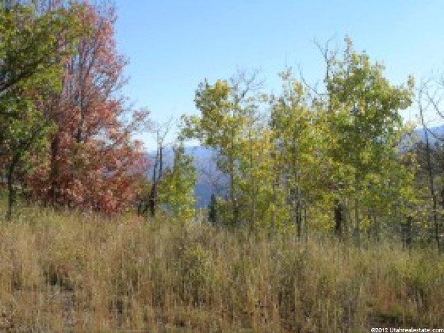 2484 Forest Meadow Rd #127, Wanship, UT 84017 — photo 3