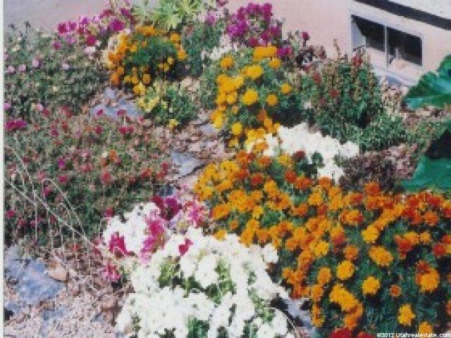 217 E 3000 N, Roosevelt, UT 84066 — photo 12