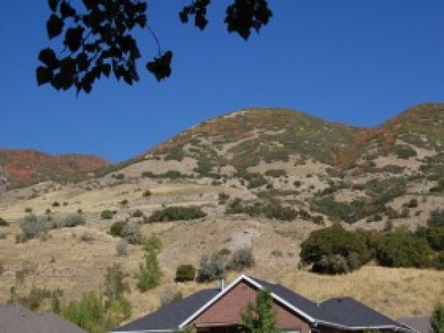 822 N 610 E, Centerville, UT 84014 — photo 7