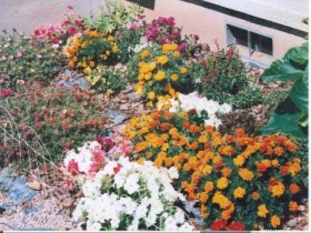217 E 3000 N, Roosevelt, UT 84066 — photo 6