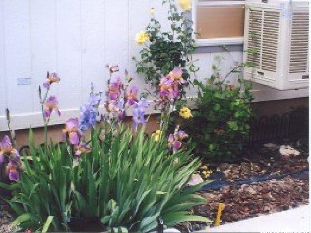 217 E 3000 N, Roosevelt, UT 84066 — photo 10