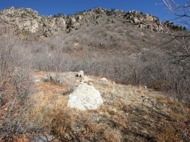 250 Ogden Cyn, Ogden, UT 84401 — photo 11