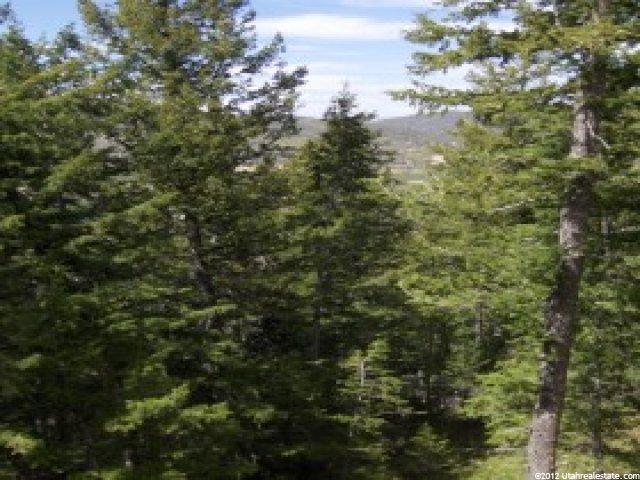 307 Matterhorn Dr, Park City, UT 84098 — photo 12