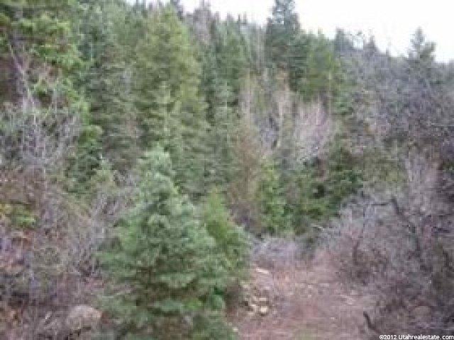 39 Vista #39, Mt Pleasant, UT 84647 — photo 5