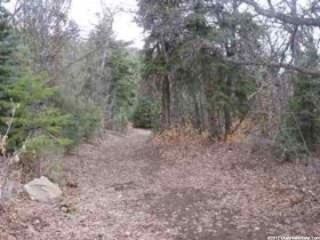 39 Vista #39, Mt Pleasant, UT 84647 — photo 6