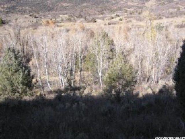 8420 E Boxwood Ln, Heber City, UT 84032 — photo 3