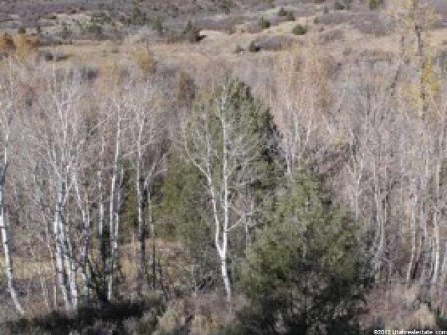 8420 E Boxwood Ln, Heber City, UT 84032 — photo 4