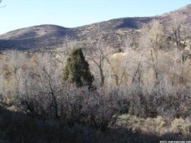 8420 E Boxwood Ln, Heber City, UT 84032 — photo 5