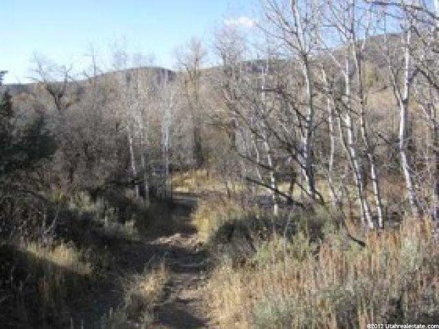 8420 E Boxwood Ln, Heber City, UT 84032 — photo 6