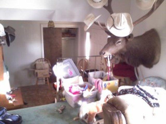 9040 E 500 S, Huntsville, UT 84317 — photo 4