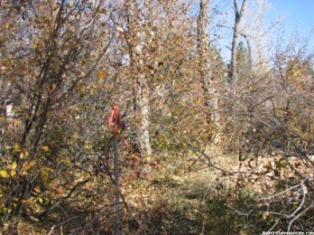 3270 N River Dr, Eden, UT 84310 — photo 5