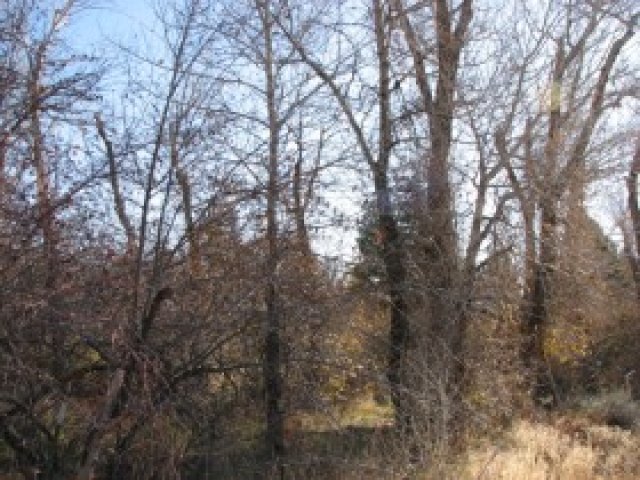 3270 N River Dr, Eden, UT 84310 — photo 6
