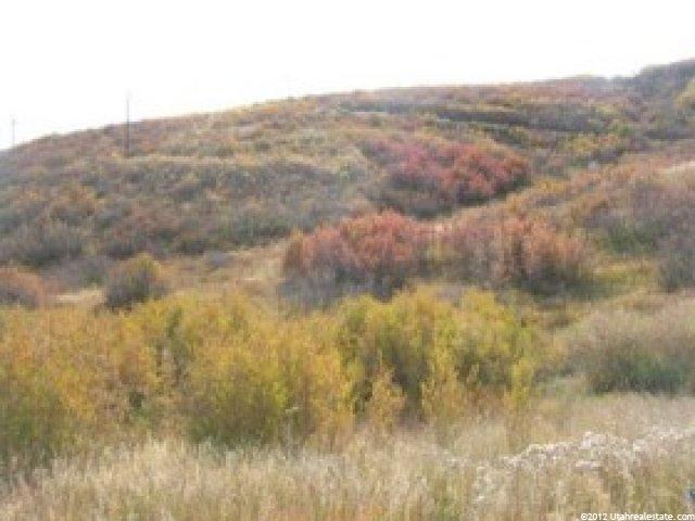 951 Winterthur Way #141, Midway, UT 84049 — photo 2
