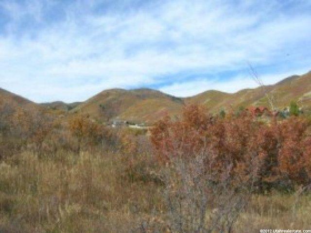951 Winterthur Way #141, Midway, UT 84049 — photo 4