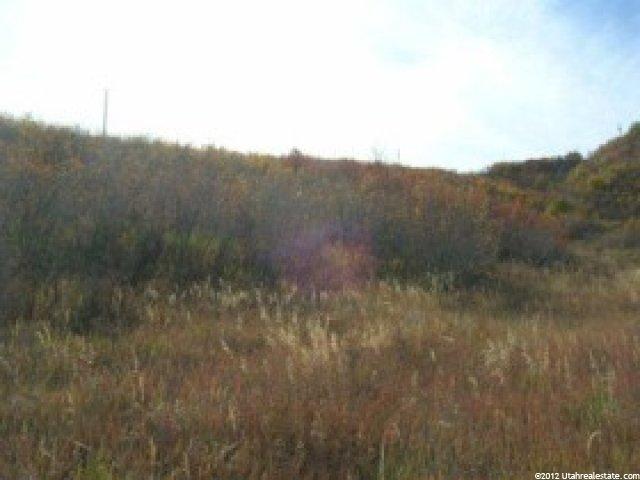 951 Winterthur Way #141, Midway, UT 84049 — photo 5
