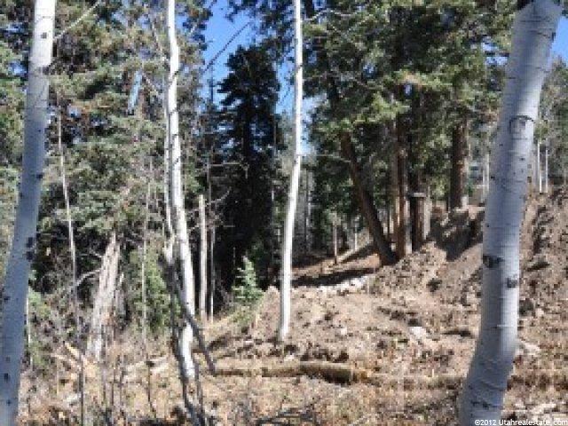 2369 S Pine Meadow Dr #C-60, Wanship, UT 84017 — photo 3