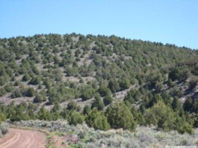 10000 Echard Crk, Panguitch, UT 84759 — photo 3
