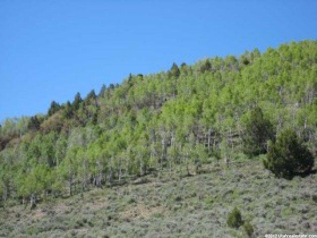 10000 Echard Crk, Panguitch, UT 84759 — photo 4